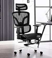 Ergonomic Office Chair, Desk Chair with Adjustable Lumbar Support, Breathable Mesh Comfy Computer Chairs with Flip-up Armrests Executive Task Chair for Adults Home Office(Black)