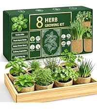 Indoor Herb Garden Kit, Culinary Herb Starter Kit with Seeds & Tools for Beginners, Kitchen Decor, House Warming Gifts for New Home, for Christmas, Ultimate Birthday Gifts for Women Men Mom Dad B0GR93MPX1