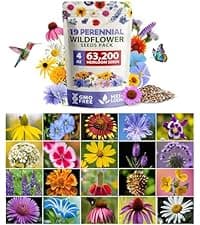 15 Culinary Herb Seeds - Heirloom & Non GMO - High Germination Rate - Seeds for Planting Indoor Hydroponic or Outdoor Herbs Garden | Gardening Gift Men Women Gardeners - Basil, Cilantro, Mint B07JCFWJ98
