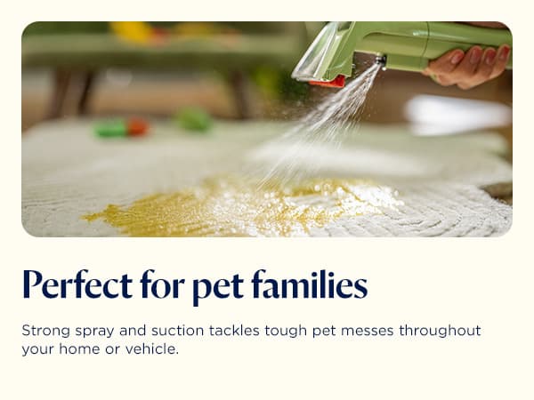 BISSELL Little Green Multi-Purpose Portable Carpet and Upholstery Cleaner, Car and Auto Detailer, with Exclusive Specialty Tools, Green, 1400B