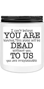 Homsolver Friends Birthday Christmas Gifts for Women, Friend Funny Scented Soy Candles Gift, Our Friendship Candle Premium Lavender Scent