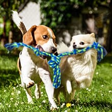 Feeko Heavy Duty Dog Rope Toys for Large Breed Aggressive Chewers, 2 Pack Indestructible Teeth Cleaning Tug of War Toy