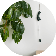 New Rechargeable Spider Catcher Vacuum Strong Suction Blows Insects Back Out Long Handle Humane Insect Bug Spiders Moth Wasp Trap Home Indoors Traps