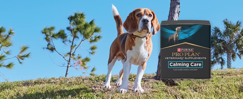 Purina Pro Plan Veterinary Supplements FortiFlora Dog Probiotic Supplement, Canine Nutritional Supplement - 30 ct. Box