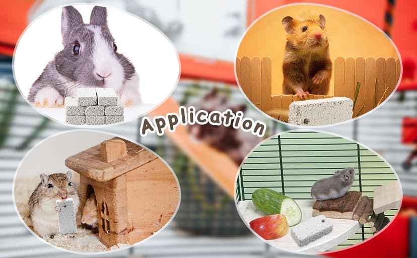 20 Pcs Small Animal Pet Lava Bites Chews Toy Teeth Grinding Block Mineral Calcium Stone for Hamsters Parrot Chinchillas Rabbits Guinea Pigs Gerbils