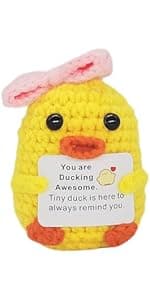 Funny Crochet Pickles 1 Pcs with Affirmations Cards for Inspirational Novelty Good Luck Gift and Party Decorations (KK-CKD04- REDCUM)