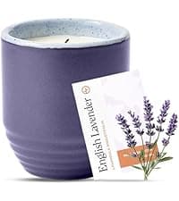 Modern Sprout Rooted Candle - 2 in 1 Cedarwood Scented & Soy Candle with Seeds That Grows into Lavender Plant - 6 oz w/ 42 hr Burn time in Matte Glaze Ceramic Vessel Ideal for Indoor Herb Garden