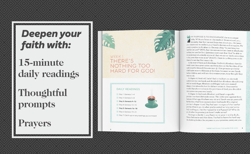 The Bible in 52 Weeks: A Yearlong Bible Study for Women