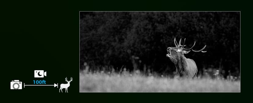 P70 (Non-Cellular,Non-WiFi) Trail Camera, 64MP 1296p, Game Cameras with No-Glow IR Night Vision, Motion Activated, Waterproof for Wildlife Deer Cams, Hunting