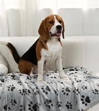 1 Pack 3 Blankets Super Soft Fluffy Premium Fleece Pet Blanket Flannel Throw for Dog Puppy Cat Paw Brown/Pink/White Small(23x16 inch)