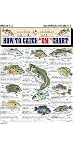 Ice Fishing Chart #14 - Waterproof Quick Reference Fishing Guide - (Rigs, Baits, Safety & Techniques) - Double-Sided & Easy to Read - Great Gift for Beginners