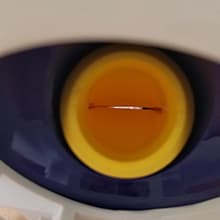 VINGLI Pool Vacuum Cleaner Automatic Sweeper Swimming Pool Creepy Crawler Vacuum with 33FT Hoses (Navy Blue&White)