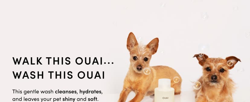 OUAI Fur Bébé Pet Shampoo, Mercer Street Scent - Dog Shampoo and Coat Wash for Hydrating, Cleansing and Adding Shine - Pet Supplies by OUAI (16 Fl Oz)