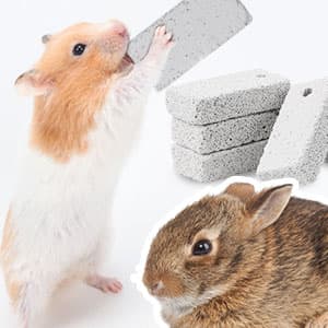 20 Pcs Small Animal Pet Lava Bites Chews Toy Teeth Grinding Block Mineral Calcium Stone for Hamsters Parrot Chinchillas Rabbits Guinea Pigs Gerbils
