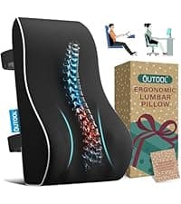 Lumbar Support Pillow for Office Chair, Office Home Essentials,Gifts for Mom,Dad, Back Support Pillow for Car, Chair Cushions,Back Pain Relief Improve Posture,Mesh Cover Double Adjustable Straps