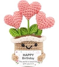 Crochet Birthday Gifts for Women – Inspirational Heart Planter Handmade Happy Birthday Gift for Women,Man,Mom, Sister, Best Friend, Coworker – Unique Gift Ideas for Her, Him, Birthday Decorations B0GWJBYTBJ