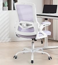 Ergonomic Office Chair, Desk Chair with Adjustable Lumbar Support, Breathable Mesh Comfy Computer Chairs with Flip-up Armrests Executive Task Chair for Adults Home Office(Black)