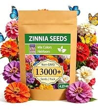Indoor Herb Garden Kit, Culinary Herb Starter Kit with Seeds & Tools for Beginners, Kitchen Decor, House Warming Gifts for New Home, for Christmas, Ultimate Birthday Gifts for Women Men Mom Dad B0GR93MPX1