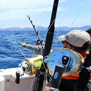 HERCULES Super Tough Braided Fishing Line 4 Strands / 8 Strands, 4lb - 160lb Braid Lines, 150/300/500/1000 Yards for Saltwater