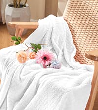 Inhand Fleece Throw Blankets, Super Soft Flannel Cozy Blankets for Adults, Washable Lightweight Blanket for Couch Sofa Bed Office, Warm Plush Blankets for All Season (50"×60", Green)