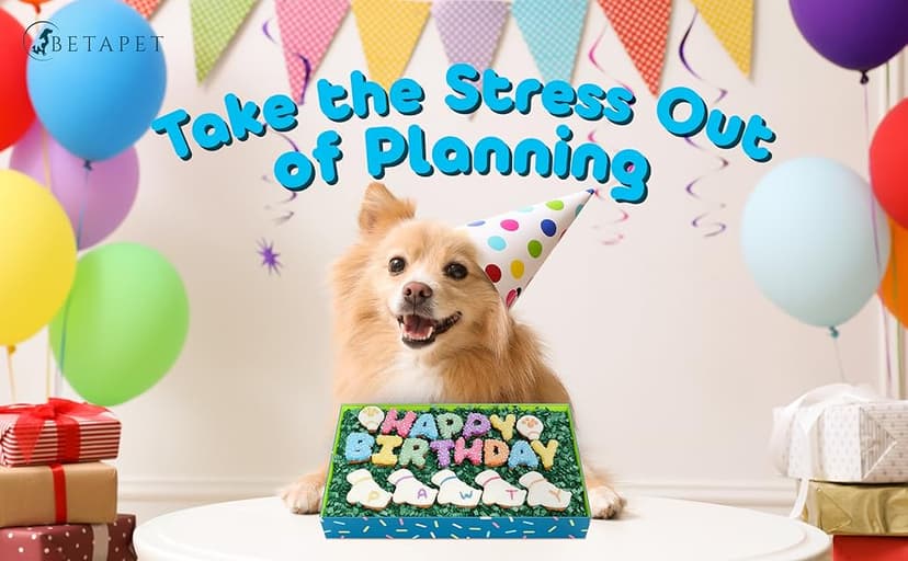 Dog Birthday Cookies - Treats for Dogs at Any Age - Made With Human-Grade Ingredients - Happy Bday Cookies for Boy or Girl Puppy - First Bday Gift - Baked Fresh in USA