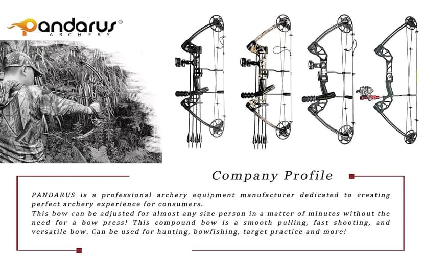 Compound Bow Draw Weight 0-70 Lbs for Pull Beginner and Intermediate Archer Fully Adjustable 19.25"-31" with All Accessories, up to IBO 320 fps,Package with Archery Hunting Equipment New 2024