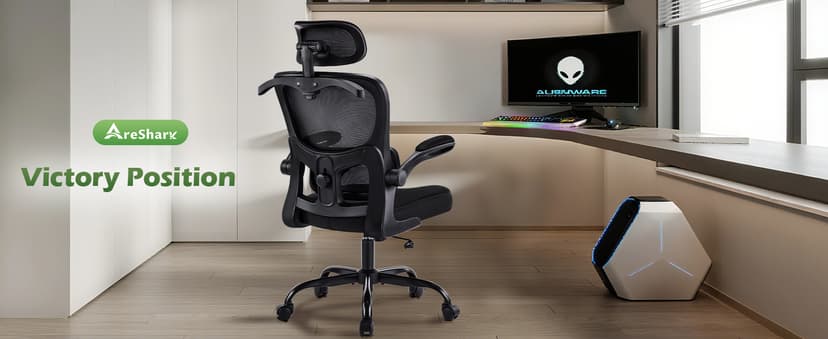 AreShark Office Chair Ergonomic Desk Chairs with Adjustable Lumbar Support& Headrest Hanger, High Back Breathable Mesh Chair with Wheels, Rolling Swivel Comfy Task Computer Chair for Home Work Gaming