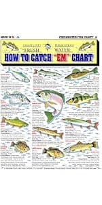 Ice Fishing Chart #14 - Waterproof Quick Reference Fishing Guide - (Rigs, Baits, Safety & Techniques) - Double-Sided & Easy to Read - Great Gift for Beginners
