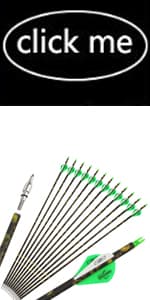 Compound Bow Kit, Hunting & Targeting, Limb Made in USA, Draw Weight 0-70 lbs Adjustable, Draw Length 9”-31",up to IBO 325FPS Speed, Package with Archery Hunting Accessories