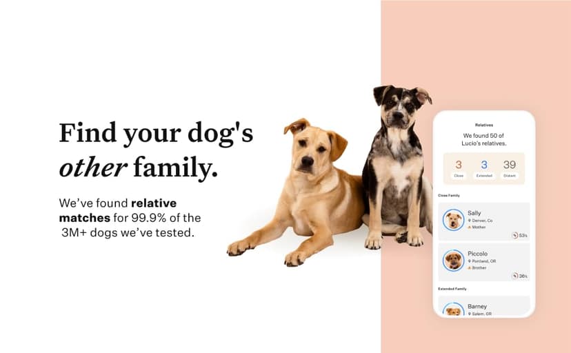 Wisdom Panel Premium Dog DNA Kit: Most Comprehensive with 265+ Health Tests, Identify 365+ Dog Breeds, 50+ Traits, Relatives, Ancestry, Genetic Diversity - Pack of 1