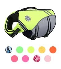 VIVAGLORY Sports Style Dog Life Vest, Dog Life Jacket for Swimming & Boating, Ripstop & Buoyancy for Puppy Doggy, Lifejacket with Handle, M, Blue