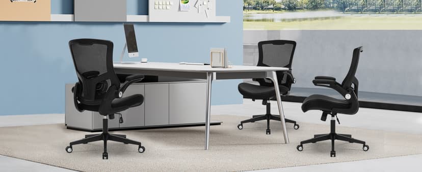 Office Chair Ergonomic Desk Chair 350lbs Comfy Mesh Computer Chair with Adjustable Lumbar Support Flip-up Armrests, Executive Rolling Swivel Comfy Task Chair for Home Office