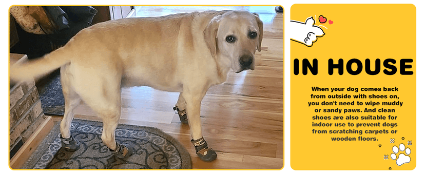 Hcpet Dog Shoes, Dog Boots & Paw Protectors for Winter Snowy Days, Rainy Weather, Outdoor Anti-Slip Sole Dog Booties for Hardwood Floor Black-Leg 1