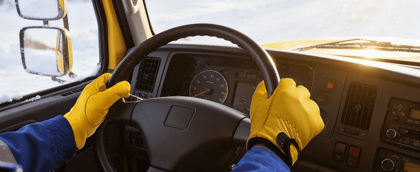 SLARMOR Mens Winter Leather Work Gloves, Warm Thinsulate Lining for Cold Weather Work, Thermal Insulated Work Gloves with Leather Palm,100 gram Insulation-L