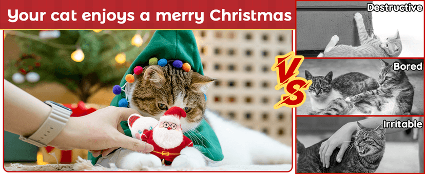 6 PCS Christmas Catnip Toys with Gift Box, Cat Toys Set for Christmas, Interactive Cat Chew Toy for Indoor Cats Kittens Kitty