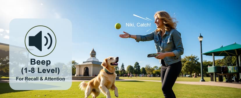 Dog Shock Collar - 4500FT Dog Training Collar with Remote, IPX8 Waterproof Electric Dog Collar with 4 Training Modes, Security Lock, Rechargeable eCollar for 10-120lbs Small Medium Large Dogs