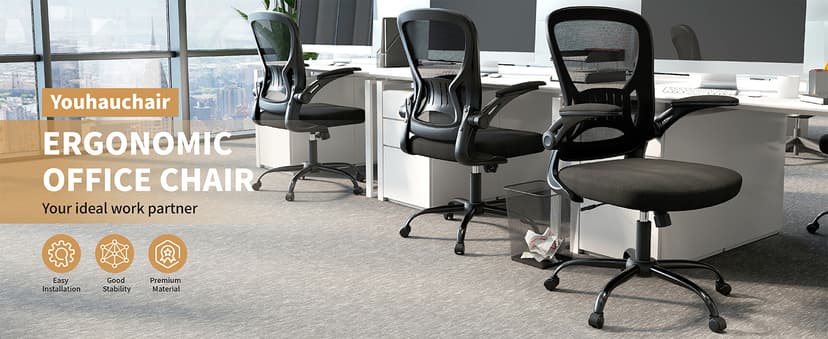 Youhauchair Mesh Office Chair, Ergonomic Home Office Desk Chairs with Flip-up Arms and Lumbar Support, Height Adjustable, Black