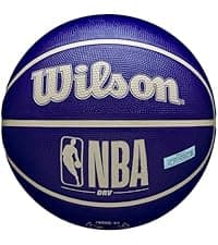 WILSON NBA Forge Indoor/Outdoor Basketballs - Size 5, Size 6 and Size 7