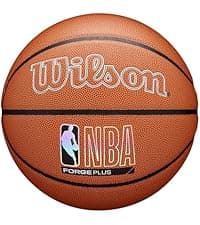 WILSON NBA Forge Indoor/Outdoor Basketballs - Size 5, Size 6 and Size 7