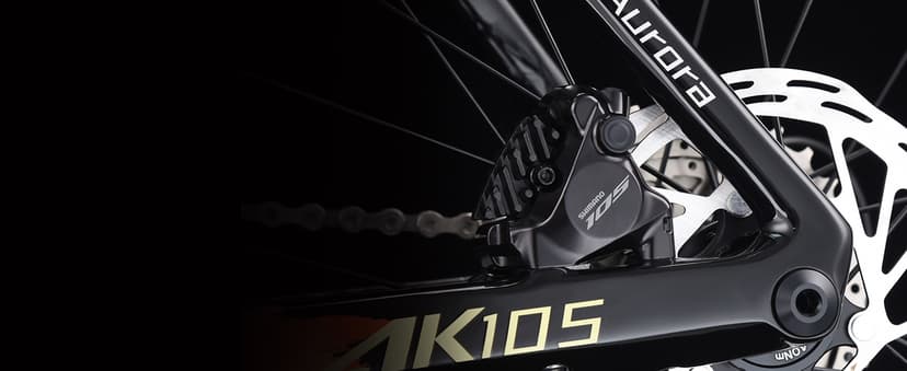 SAVADECK Carbon Fiber Road Bike, Hydraulic Oil Disc Bike with Carbon Fiber Frame and Wheelset, Lightweight Full Carbon Racing Bicycle with Shimano R7120 24S Shift Set for Adults