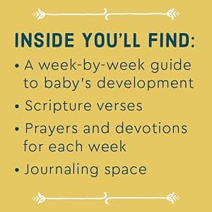 Praying Through Your Pregnancy: A Week-by-Week Devotional for Expecting Moms | Christian Pregnancy Journal | Gift for First-Time Moms 0800746015