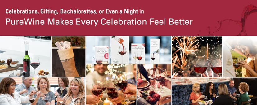 PureWine The Wand Wine Purifier - Red & White Wine Filters for Histamines & Sulfites, Sulfite Remover Sticks, Helps Allergies & Headaches, Gift Accessories for Women & Men - 8 Wands, Silver