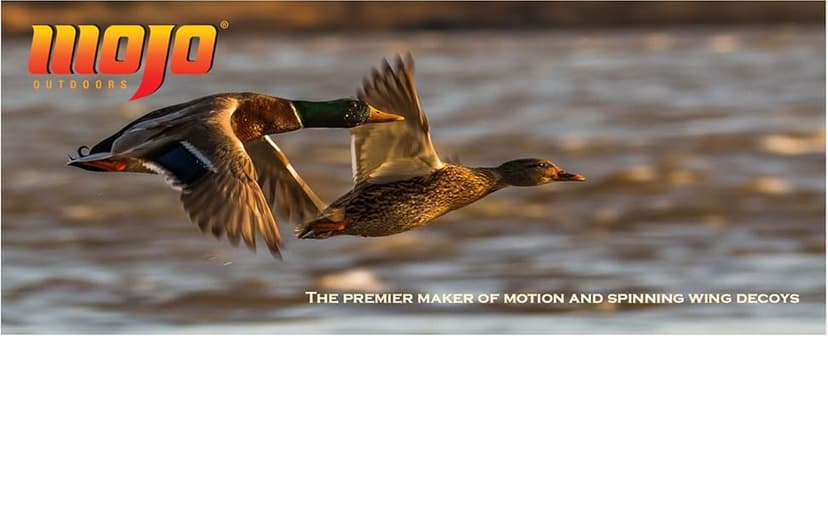 MOJO Outdoors Coot Confidence Decoys for Duck Hunting, Increases Realism and Entices Ducks to Land, Pack of 6