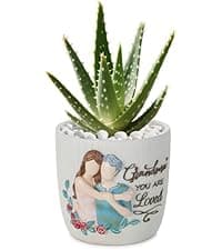Grandma Birthday Gifts: I Love You Grandma Figurine Gift from Granddaughter - Grandmother Gifts for Mothers' Day - Meaningful Gift for Grandma Nana Gigi Christmas