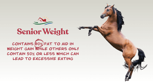 Manna Pro Weight Accelerator for Senior Horses – Weight Gain and Muscle Support Supplement with Omega 3 Fatty Acids and Flaxseed – High-Calorie Feed Topper for Horses – 8 lb Bag