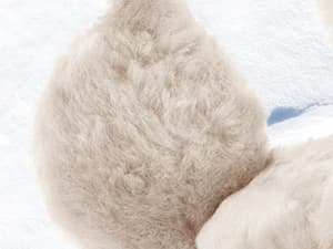 Aurya Ear Muffs - Classic Unisex Ear Warmer Winter Outdoor Earmuffs for Women