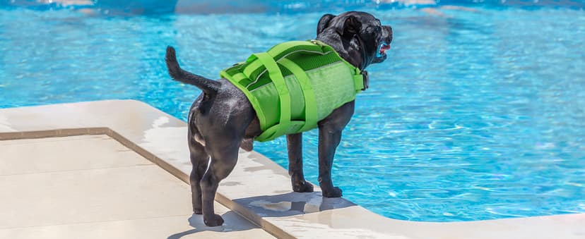 Kuoser Dog Life Jacket High Flotation, Reflective Dogs Life Vest for Swimming Boating, Adjustable Small Medium Large Dog lifejacket, Lightweight Dogs Life Preserver Rescue Handle Spring Summer Pool
