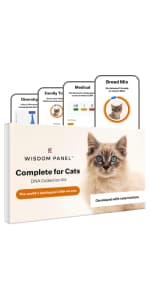 Wisdom Panel Premium Dog DNA Kit: Most Comprehensive with 265+ Health Tests, Identify 365+ Dog Breeds, 50+ Traits, Relatives, Ancestry, Genetic Diversity - Pack of 1