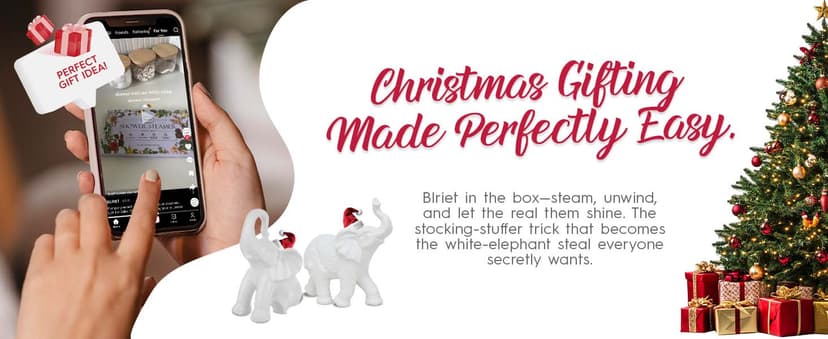 Shower Steamers Aromatherapy BLRIET 8 Pack Gifts for Women, Birthday Christmas White Elephant Gifts Stocking Stuffers for Adults Her Mom Him Home Spa Gym Natural Essential Oil Self Care Relaxation