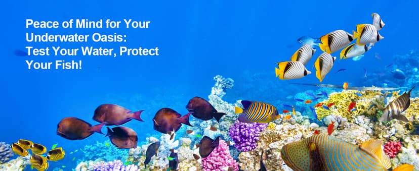 AAwipes Aquarium Ammonia Test Strips 8-in-1 |25 Strips | Quick & Accurate Water Testing Test pH, Carbonate, Alkalinity, Hardness, Chlorine, Nitrite, etc. (K02-25)